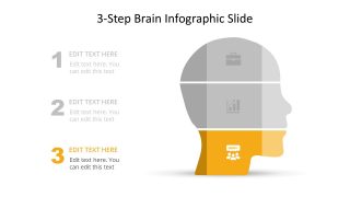 Segmented Brain Infographics for PowerPoint